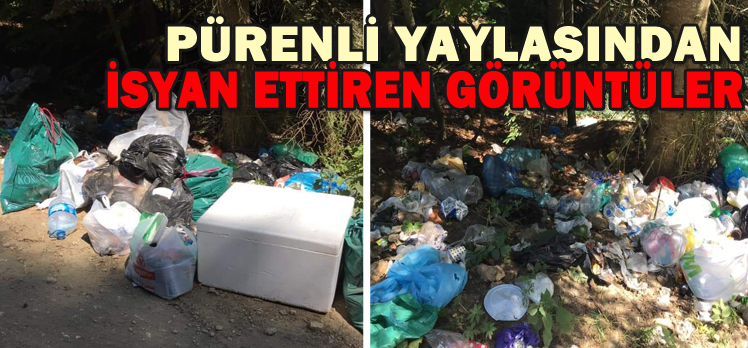 PÜRENLİ YAYLASINDAN İSYAN ETTİREN GÖRÜNTÜLER