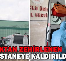 AMONYAKTAN ZEHİRLENEN 7 İŞÇİ HASTANEYE KALDIRILDI