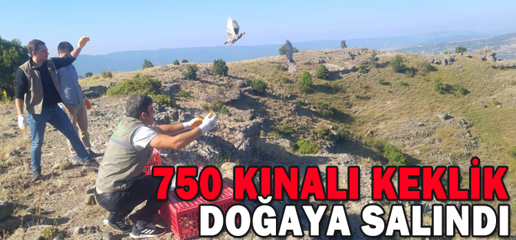 750 KINALI KEKLİK DOĞAYA SALINDI