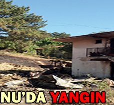 MUDURNU’DA YANGIN