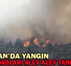 DÖRTDİVAN’DA YANGIN