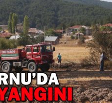 MUDURNU’DA ANIZ YANGINI