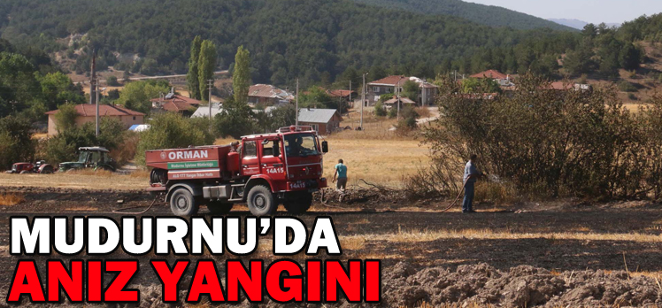 MUDURNU’DA ANIZ YANGINI