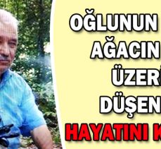 OĞLUNUN KESTİĞİ AĞACIN DALI  ÜZERİNE DÜŞEN KİŞİ HAYATINI KAYBETTİ