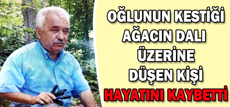 OĞLUNUN KESTİĞİ AĞACIN DALI  ÜZERİNE DÜŞEN KİŞİ HAYATINI KAYBETTİ