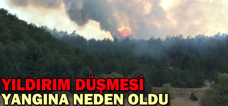 YILDIRIM DÜŞMESİ YANGINA NEDEN OLDU