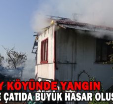 HAMZABEY KÖYÜNDE YANGIN