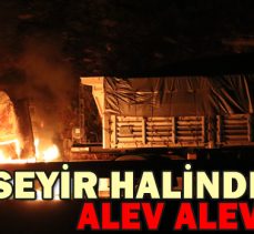 SEYİR HALİNDEKİ TIR ALEV ALEV YANDI