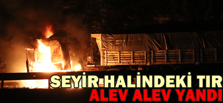 SEYİR HALİNDEKİ TIR ALEV ALEV YANDI