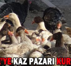 GEREDE’YE KAZ PAZARI KURULACAK