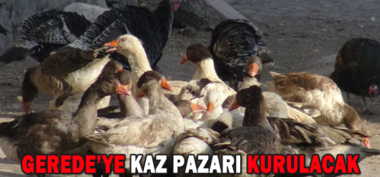 GEREDE’YE KAZ PAZARI KURULACAK