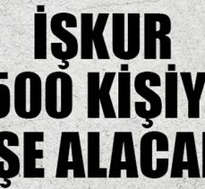 İŞ-KUR 500 KİŞİYİ İŞE ALACAK