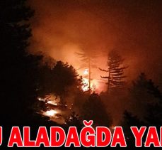 BOLU ALADAĞDA YANGIN