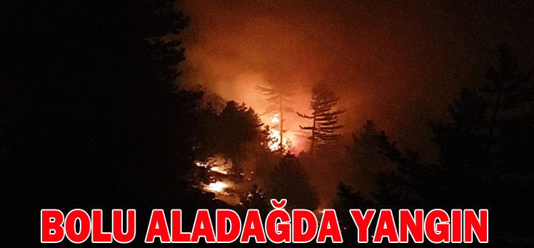 BOLU ALADAĞDA YANGIN