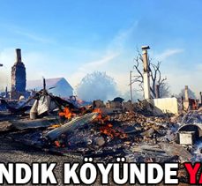 KUZFINDIK KÖYÜNDE YANGIN