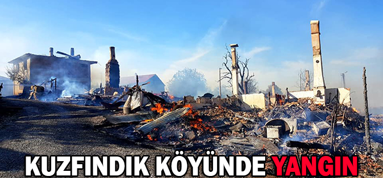 KUZFINDIK KÖYÜNDE YANGIN