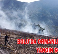 BOLU’DA ORMANLIK ALANDAKİ YANGIN SÖNDÜRÜLDÜ