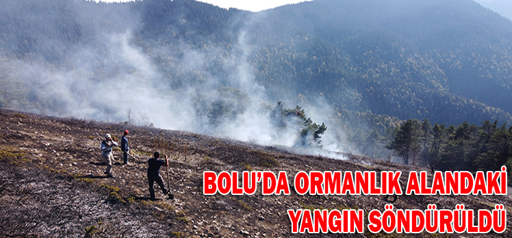 BOLU’DA ORMANLIK ALANDAKİ YANGIN SÖNDÜRÜLDÜ