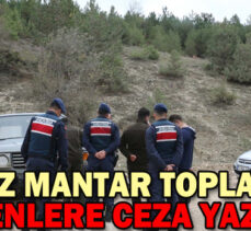 İZİNSİZ MANTAR TOPLAMAYA GİDENLERE CEZA YAZILDI