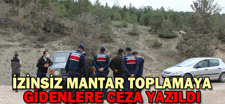 İZİNSİZ MANTAR TOPLAMAYA GİDENLERE CEZA YAZILDI