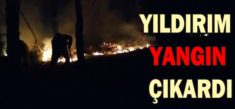 YILDIRIM YANGIN ÇIKARDI