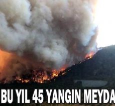 BOLU’DA BU YIL 45 YANGIN MEYDANA GELDİ