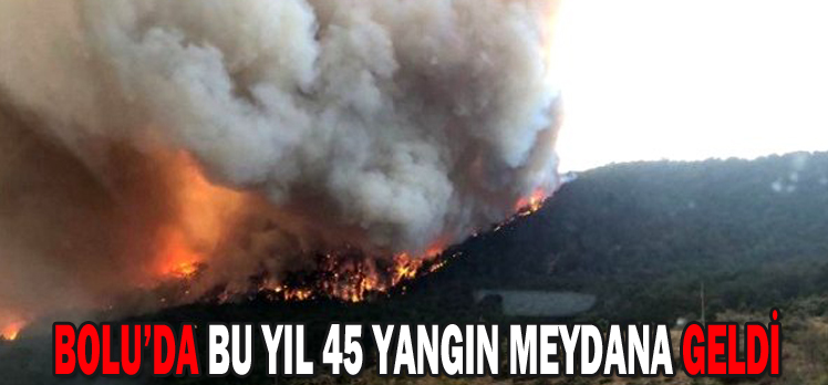 BOLU’DA BU YIL 45 YANGIN MEYDANA GELDİ