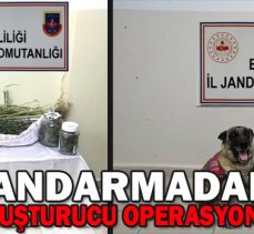 JANDARMADAN UYUŞTURUCU OPERASYONU