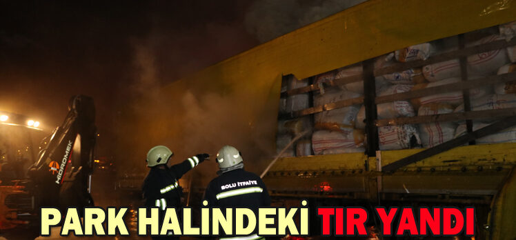 PARK HALİNDEKİ TIR YANDI