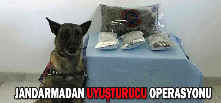 JANDARMADAN UYUŞTURUCU OPERASYONU