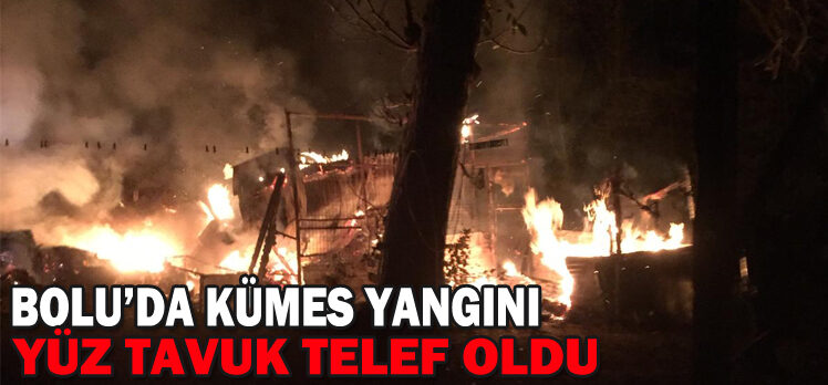 YÜZ TAVUK TELEF OLDU