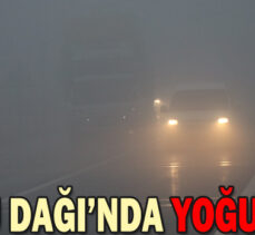 BOLU DAĞI’NDA YOĞUN SİS