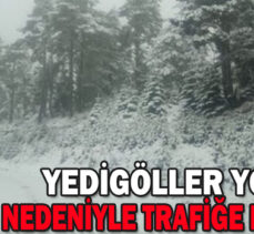 YEDİGÖLLER YOLU KAR NEDENİYLE TRAFİĞE KAPATILDI