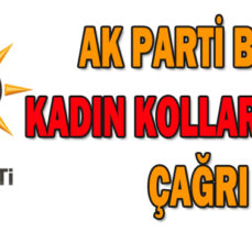 AK Parti Bolu Kadın Kolları’ndan çağrı