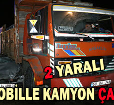 OTOMOBİLLE KAMYON ÇARPIŞTI: 2 YARALI