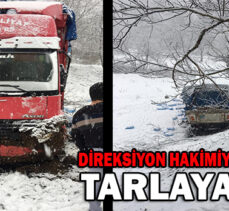 DİREKSİYON HAKİMİYETİNİ KAYBETTİ/TARLAYA UÇTU