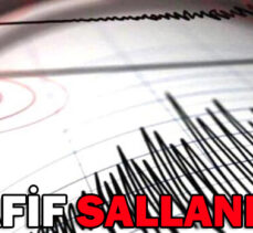 HAFİF SALLANDIK