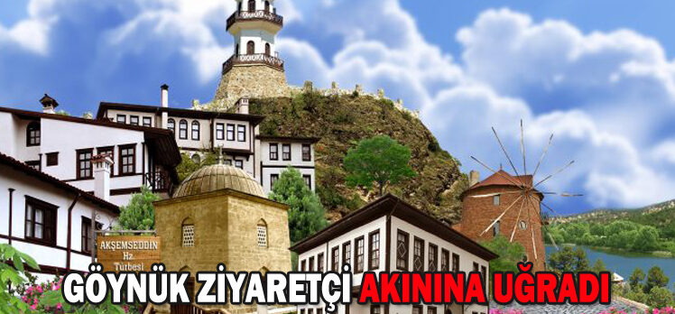 GÖYNÜK ZİYARETÇİ AKININA UĞRADI