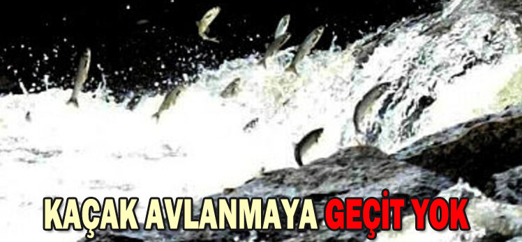 KAÇAK AVLANMAYA GEÇİT YOK