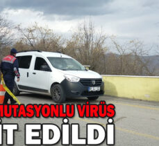 KOMŞU’DA MUTASYONLU VİRÜS  TESBİT EDİLDİ