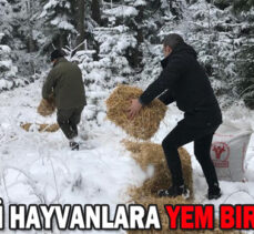 YABANİ HAYVANLARA YEM BIRAKILDI