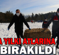 BOLU’DA YILKI ATLARINA YEM BIRAKILDI