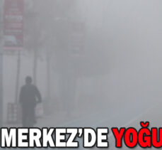 Bolu’da yoğun sis