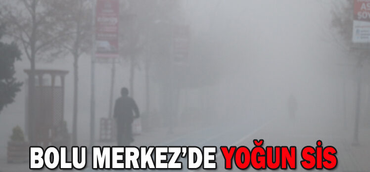 Bolu’da yoğun sis