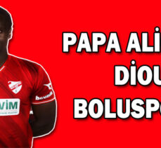 Papa Alioune Diouf, Boluspor’da