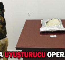 BOLU’DA UYUŞTURUCU OPERASYONU