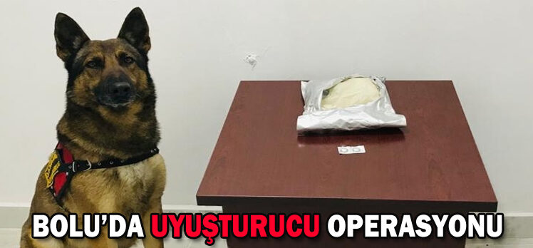 BOLU’DA UYUŞTURUCU OPERASYONU