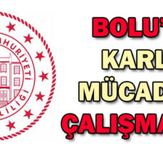 BOLU’DA KARLA  MÜCADELE ÇALIŞMALARI