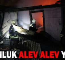 ODUNLUK ALEV ALEV YANDI