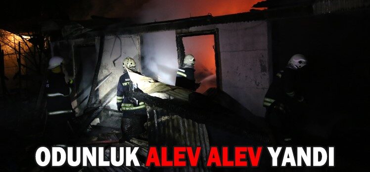 ODUNLUK ALEV ALEV YANDI